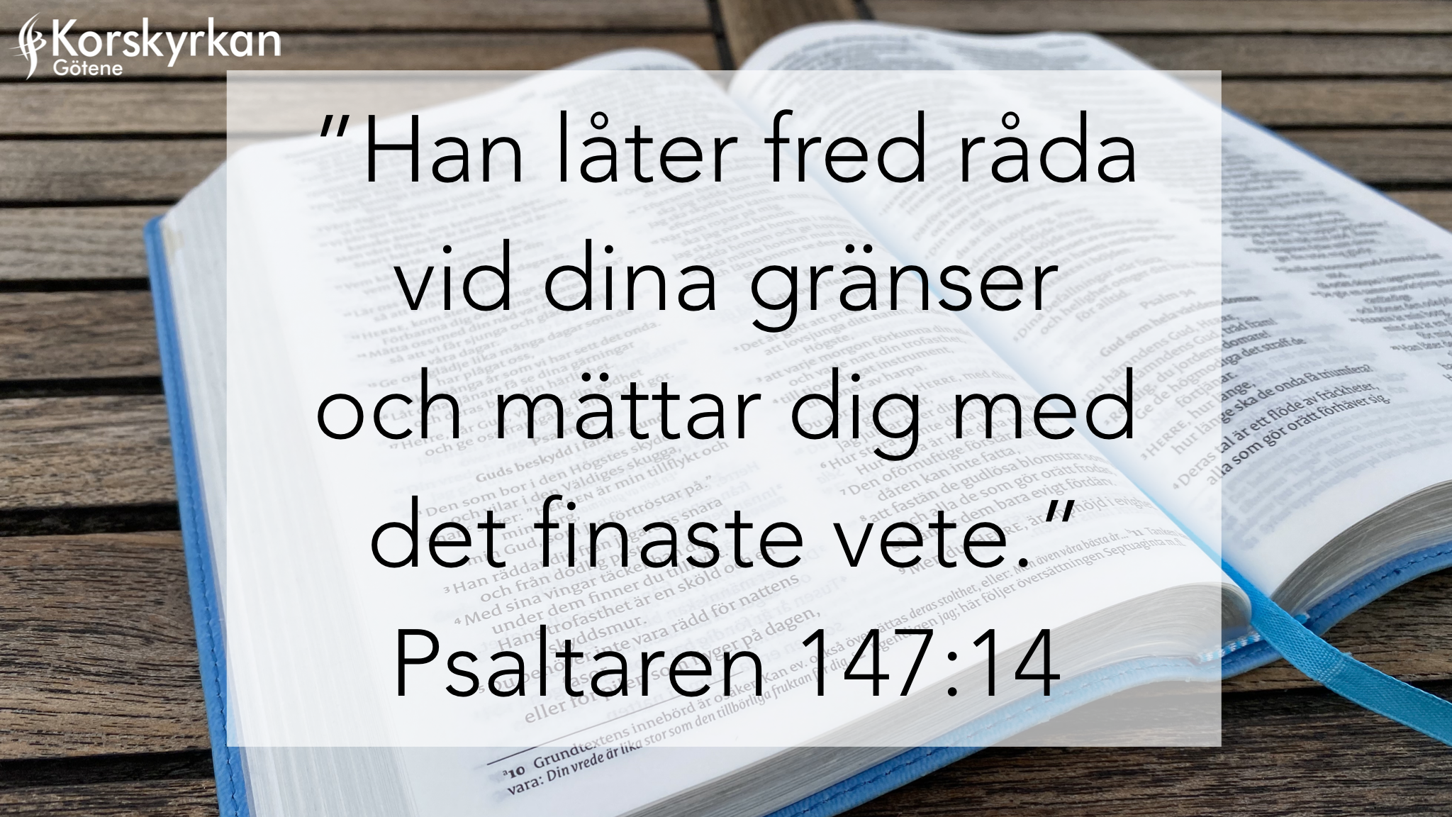 Min Bibelhälsning - Birgitta Söderberg